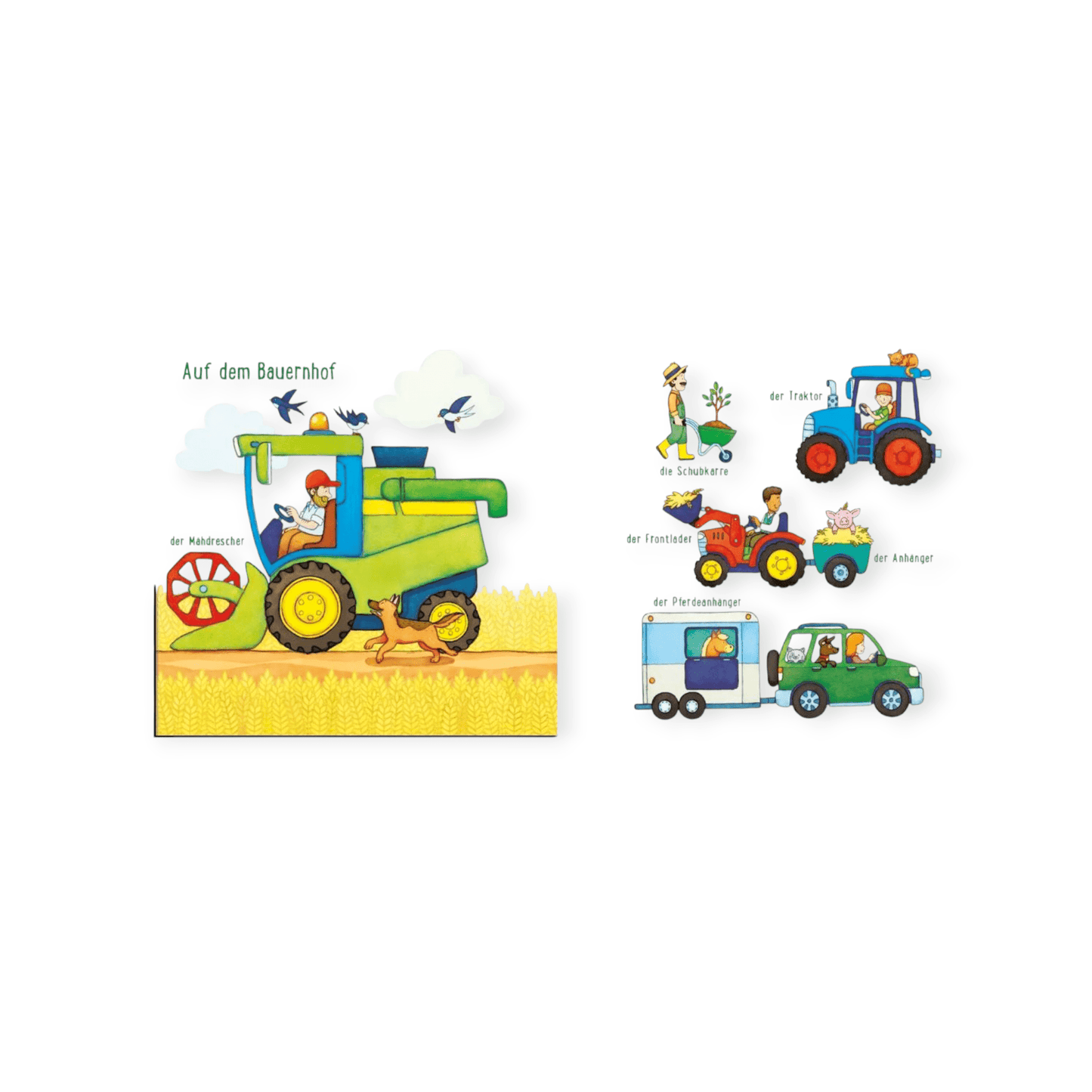 Baby Pixi: Alle meine Fahrzeuge - Siliblu Boutique & Atelier