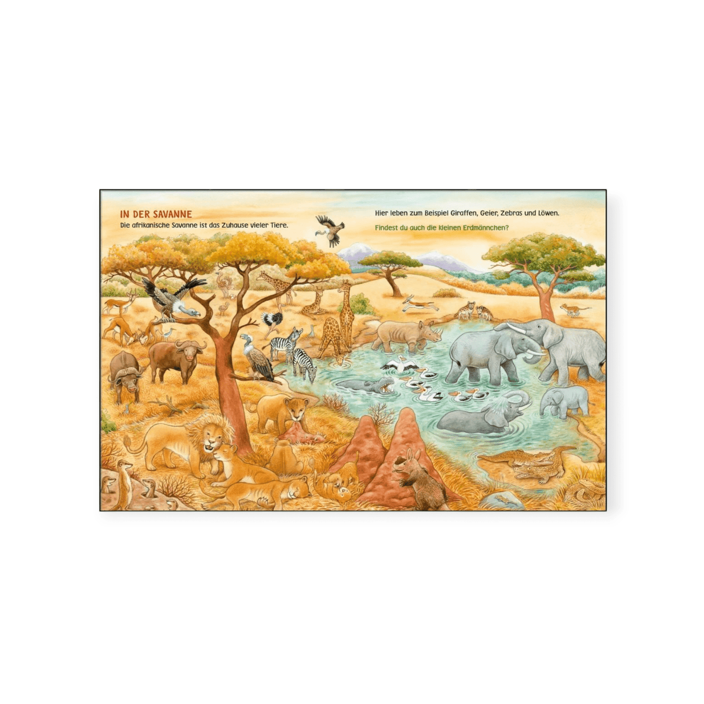 Baby Pixi: Mein erstes Wimmelbuch "Unsere Tiere" - Siliblu Boutique & Atelier