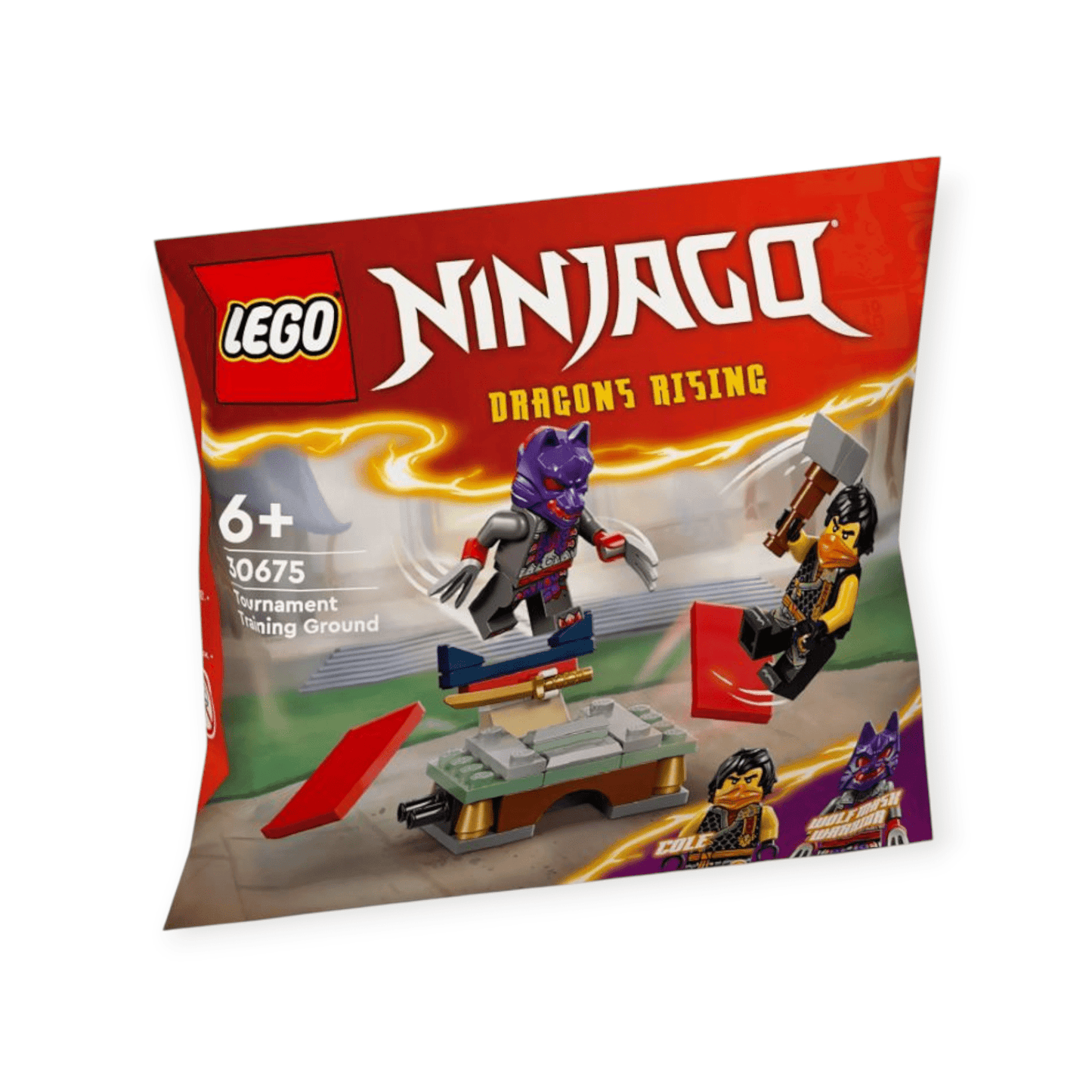 LEGO Ninjago - Turnier - Trainingsgelände & Kais und Raptons Duell im Tempel 49tlg - Siliblu Boutique & Atelier