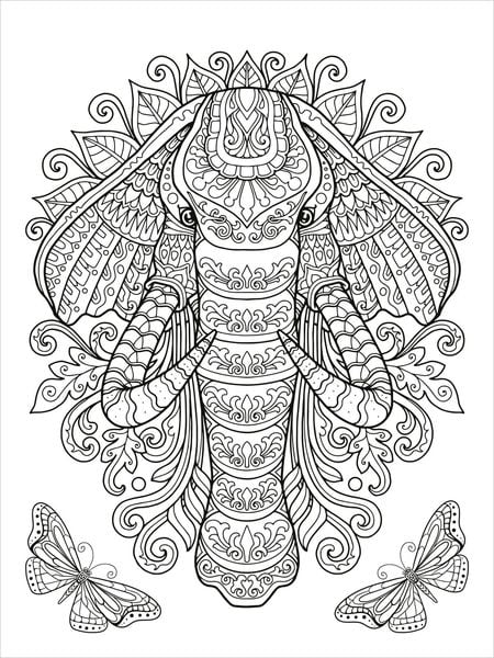 Mein Mandala - Tier - Malbuch - Wilde Tiere - Siliblu Boutique & Atelier