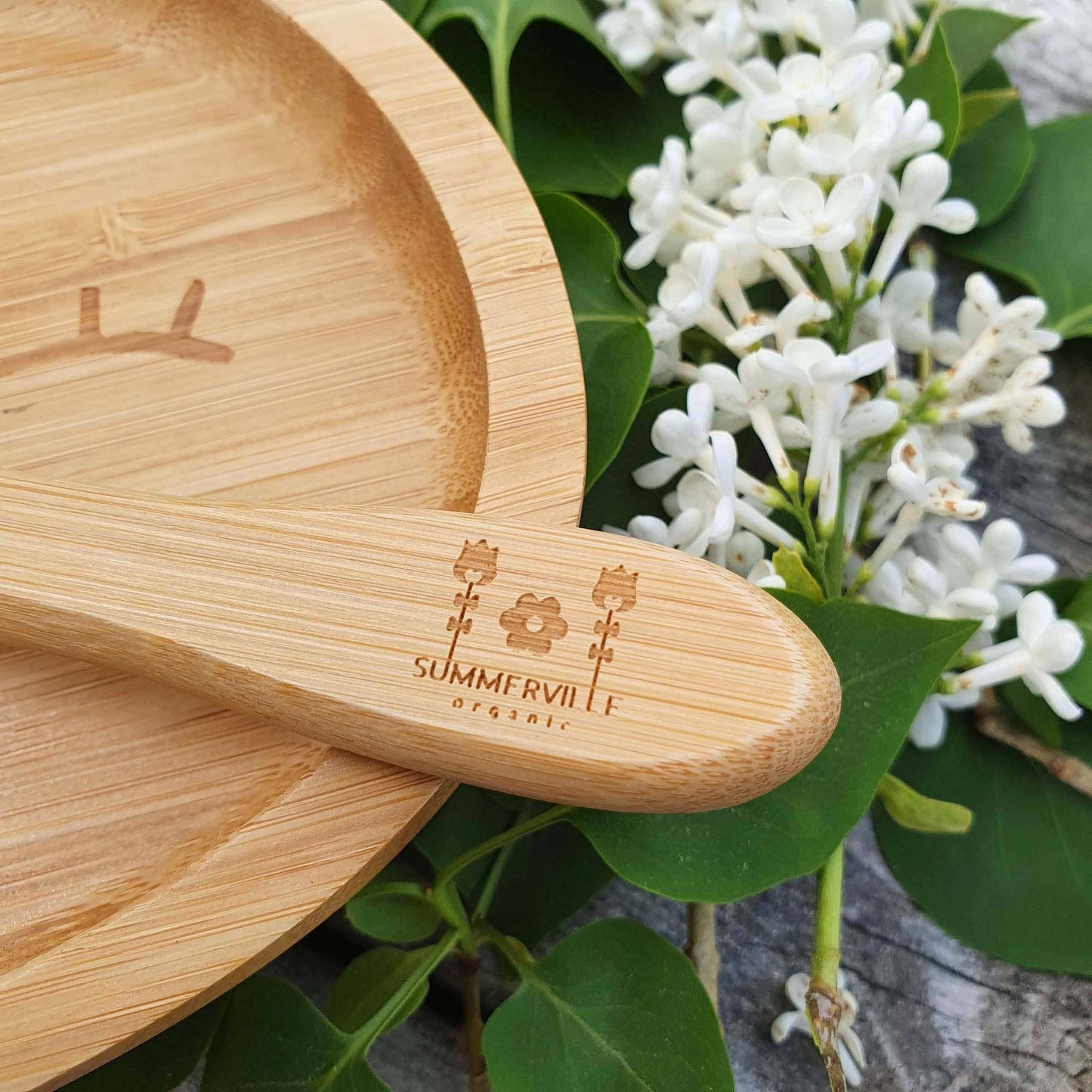 Summerville organic Bambusgeschirr für Kinder - Hase Cameo Green - Siliblu Boutique & Atelier