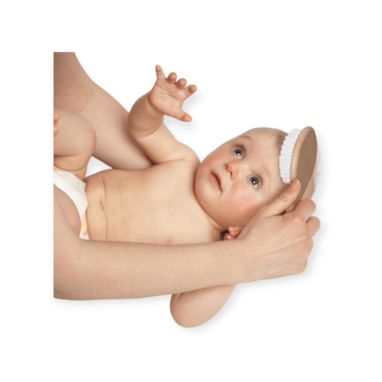 Wild & Stone vegane Baby Bio - Nylon Haarbürste Buchenholz - Siliblu Boutique & Atelier