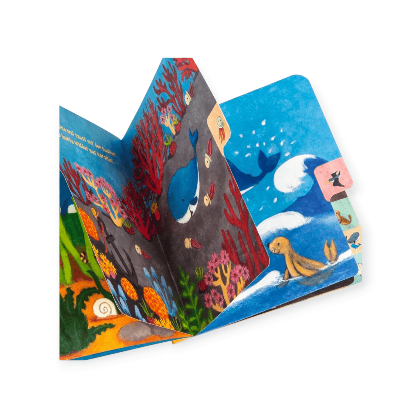 Baby Pixi: Der kleine Wal - Siliblu Boutique & Atelier