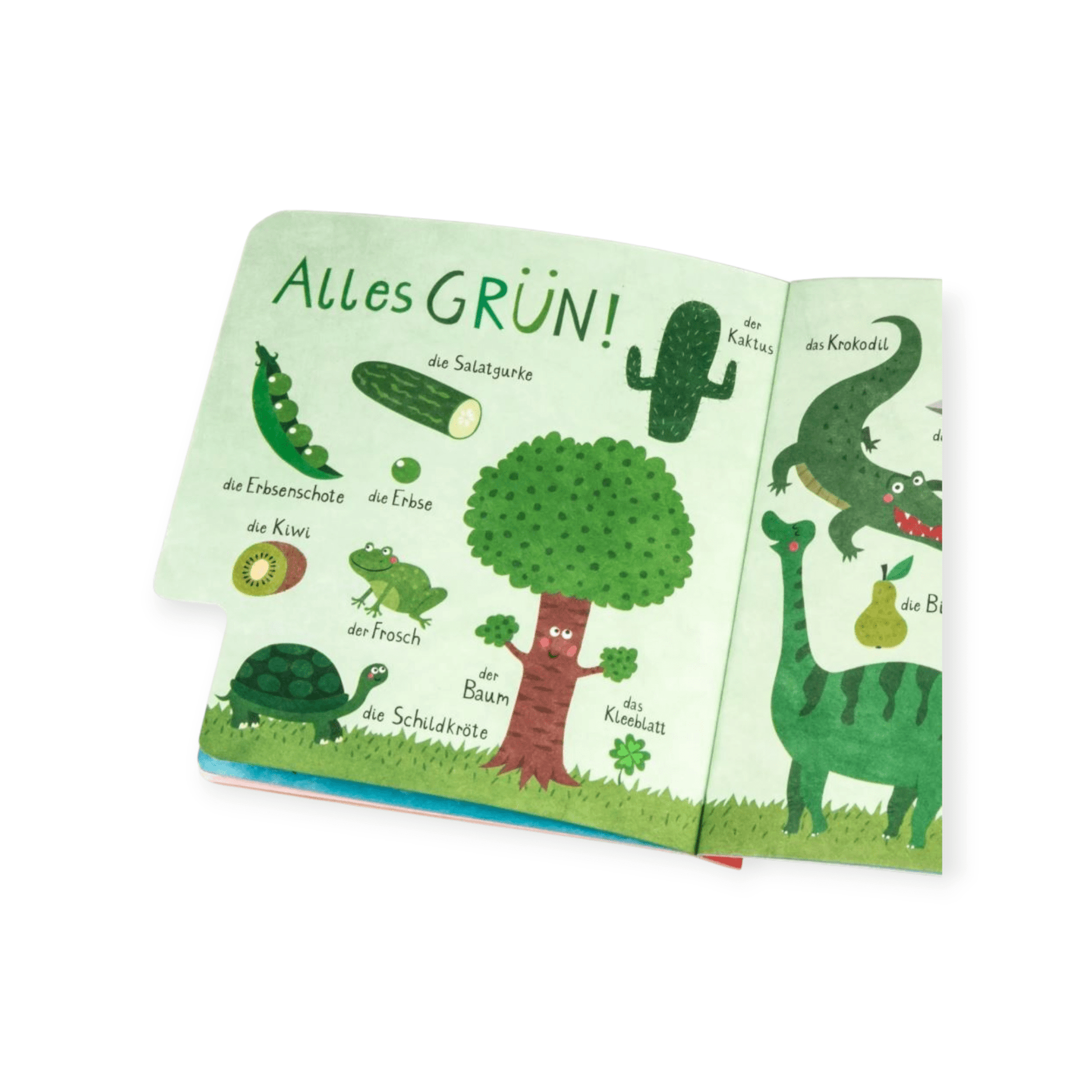 Baby Pixi: Mein erstes Farbenbuch - Siliblu Boutique & Atelier