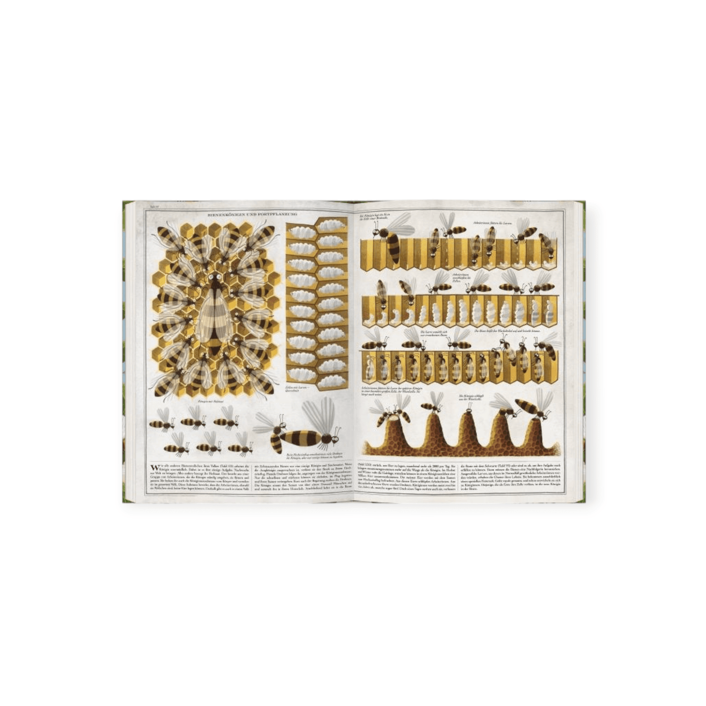 Bienen - Siliblu Boutique & Atelier