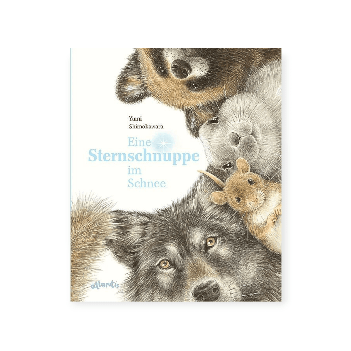 Eine Sternschnuppe im Schnee - Siliblu Boutique &amp; Atelier