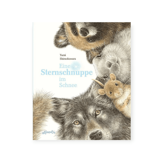 Eine Sternschnuppe im Schnee - Siliblu Boutique & Atelier