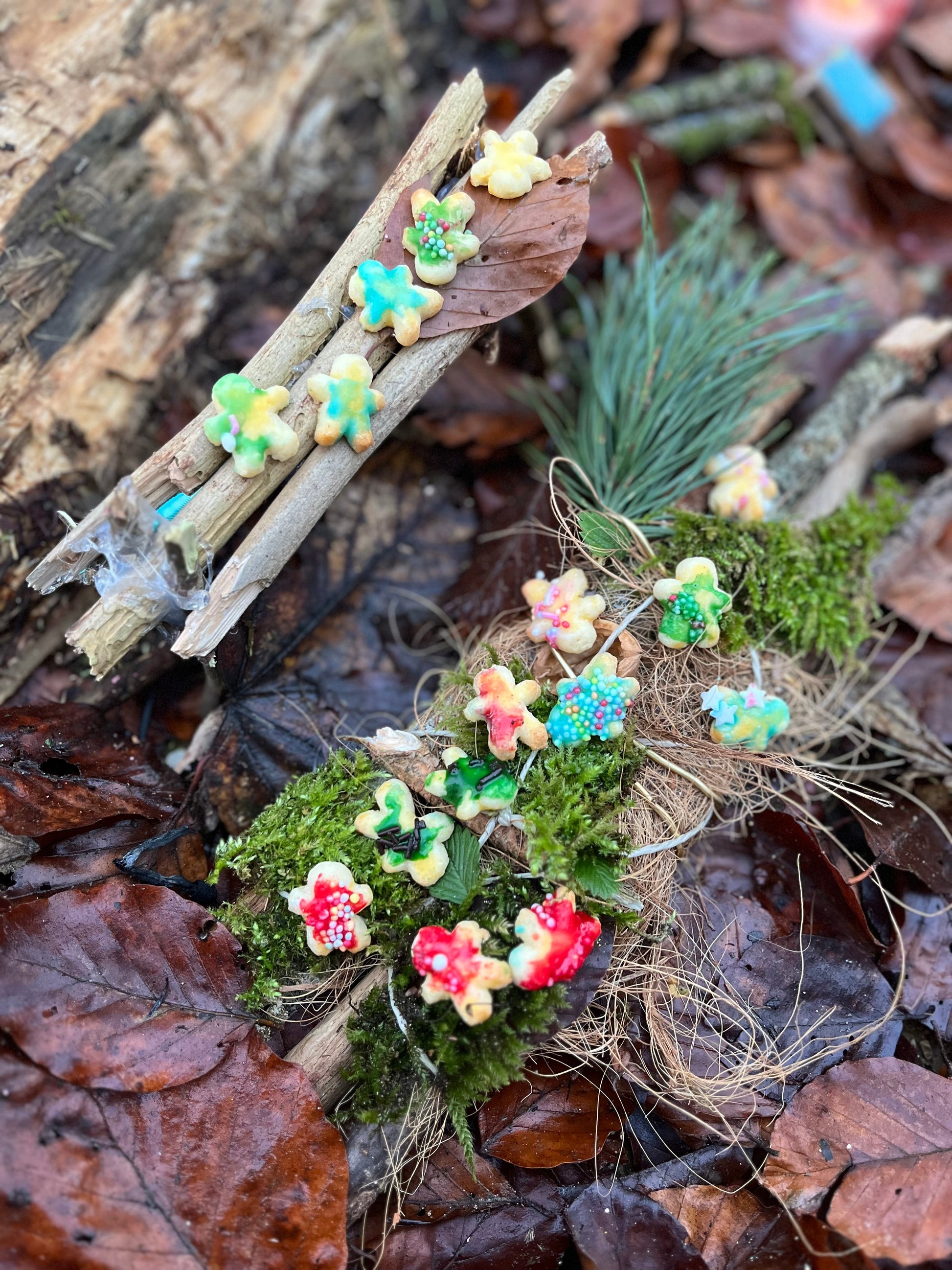 Familienausflug Wichtelpfad im Zauberwald // Sonntag, 30.11.25 - Siliblu Boutique & Atelier