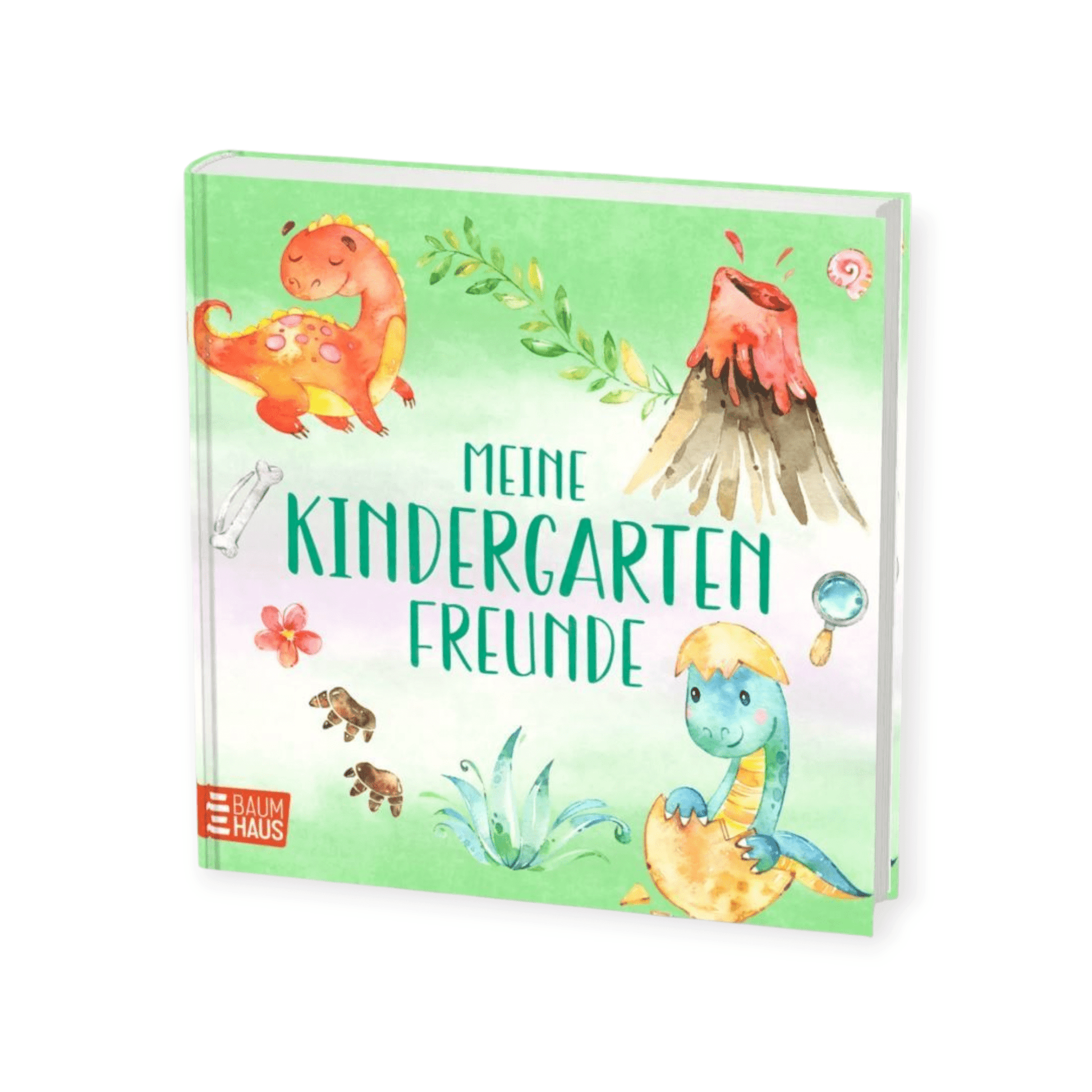 Meine Kindergartenfreunde - Dinosaurier - Siliblu Boutique & Atelier