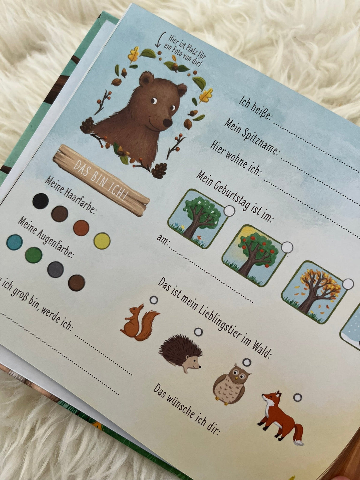 Meine Kindergartenfreunde "Waldtiere" - Siliblu Boutique &amp; Atelier