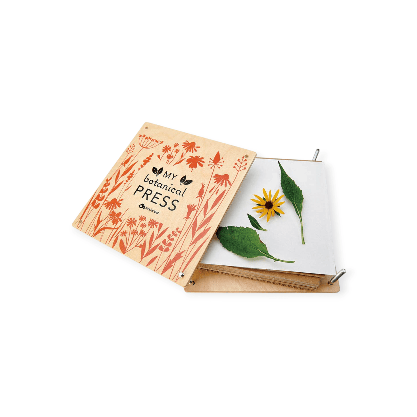 tender leaf Blumenpresse - Siliblu Boutique & Atelier