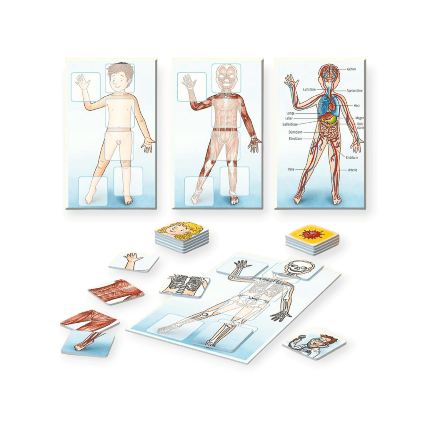 WAS IST WAS Junior - Mein Körper - Siliblu Boutique & Atelier